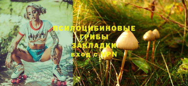mdpv Михайловск