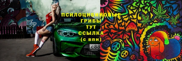героин Михайлов