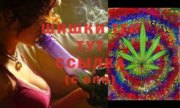 ECSTASY Медногорск