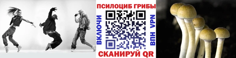KRAKEN онион  Макушино  Псилоцибиновые грибы Psilocybine cubensis  сколько стоит 